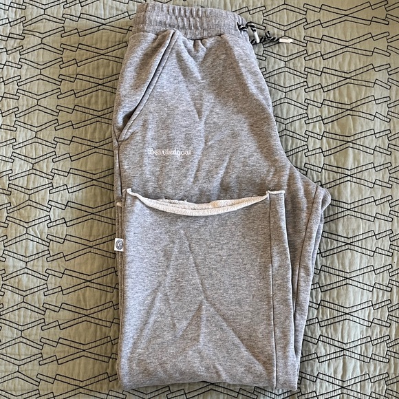 Bearded Goat Pants - Gray Women's Joggers by Aviator Nation